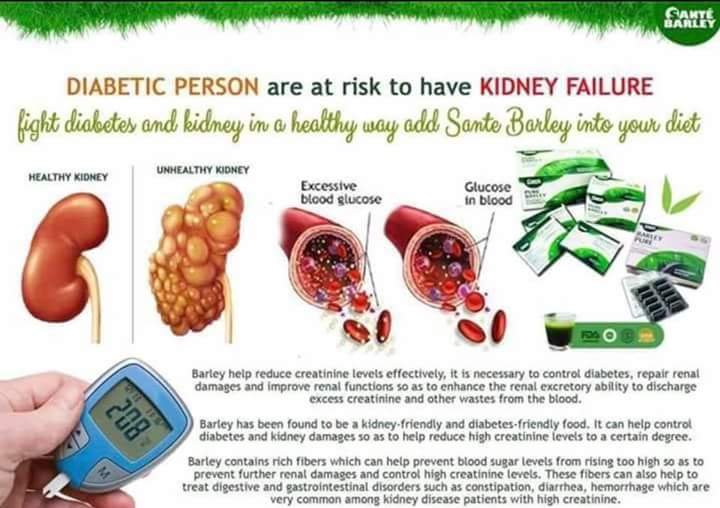 A Diabetic person is at Risk to have a Renal Failure. – Santé Barley